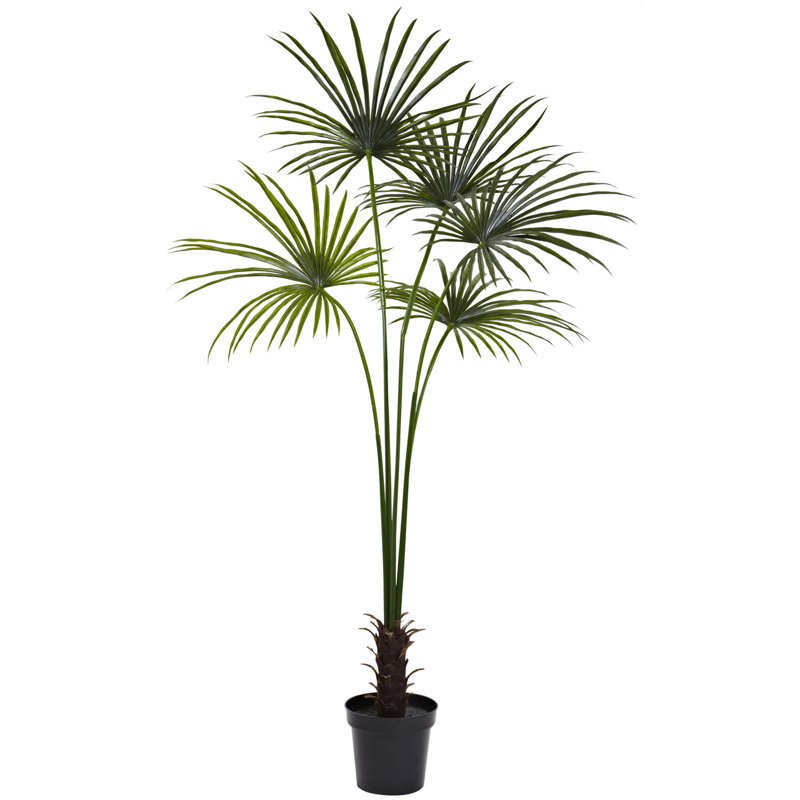 Nearly Natural Fan Palm Tree in Pot & Reviews Wayfair